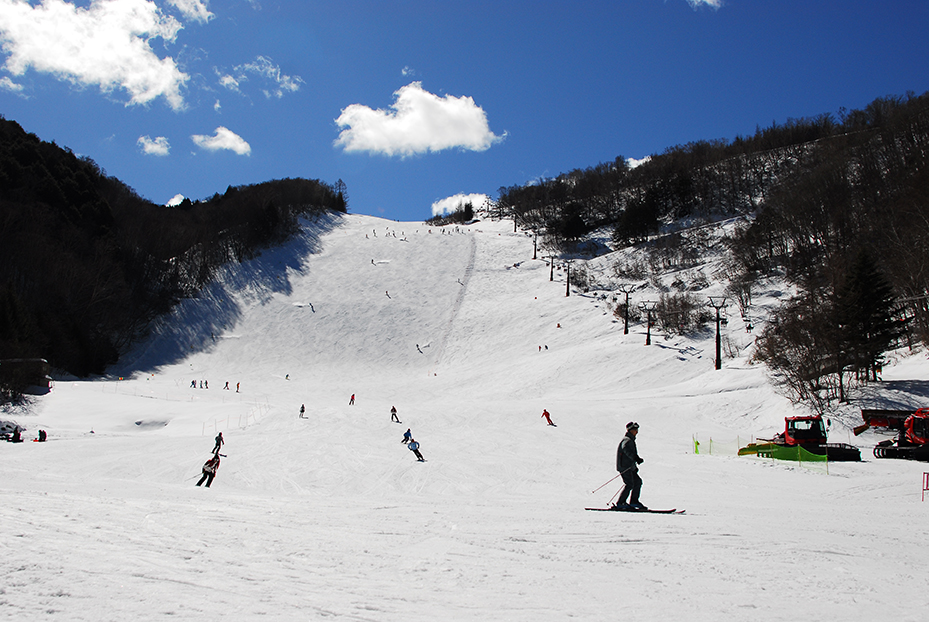 Photo: ジャイアントスキー場