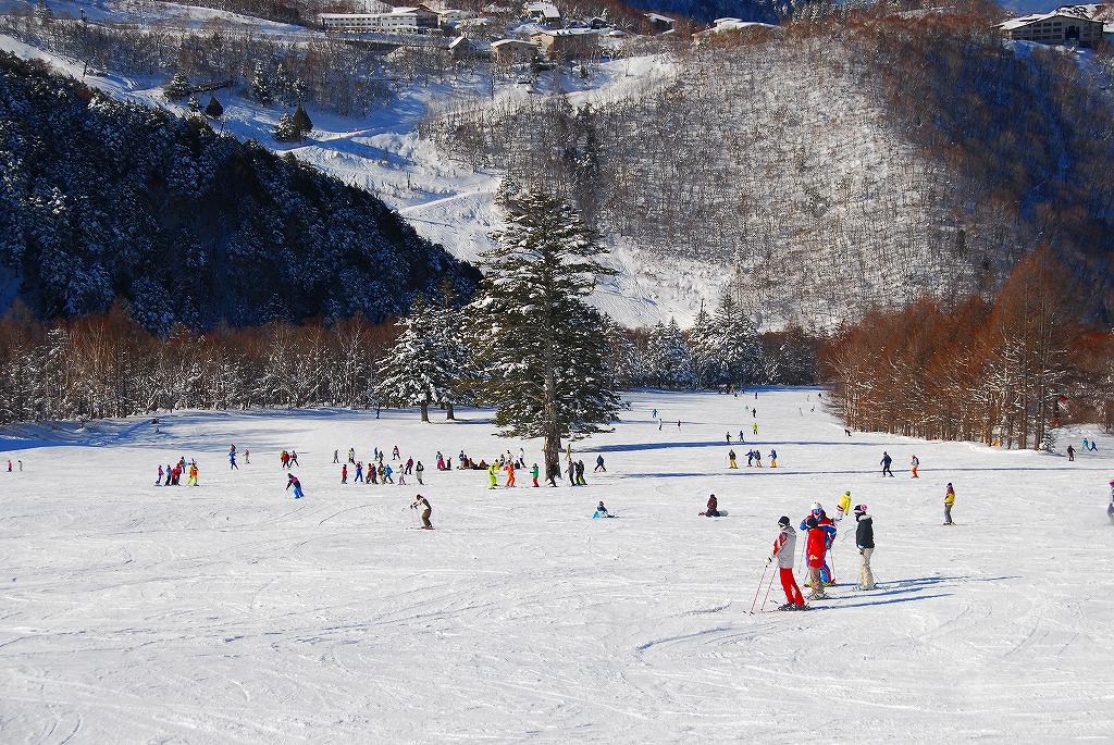 Photo: 発哺ブナ平スキー場