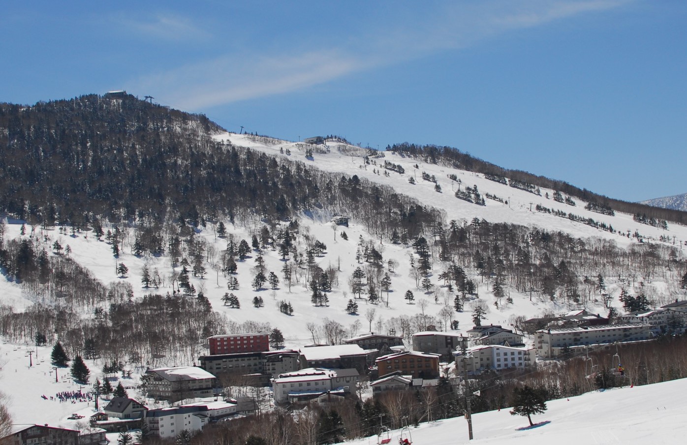 Photo: タンネの森オコジョスキー場